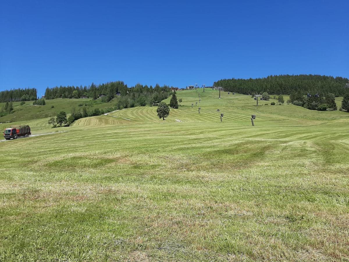 Bio-Bauernhof Hatzbauer Maria Alm am Steinernen Meer Exterior photo