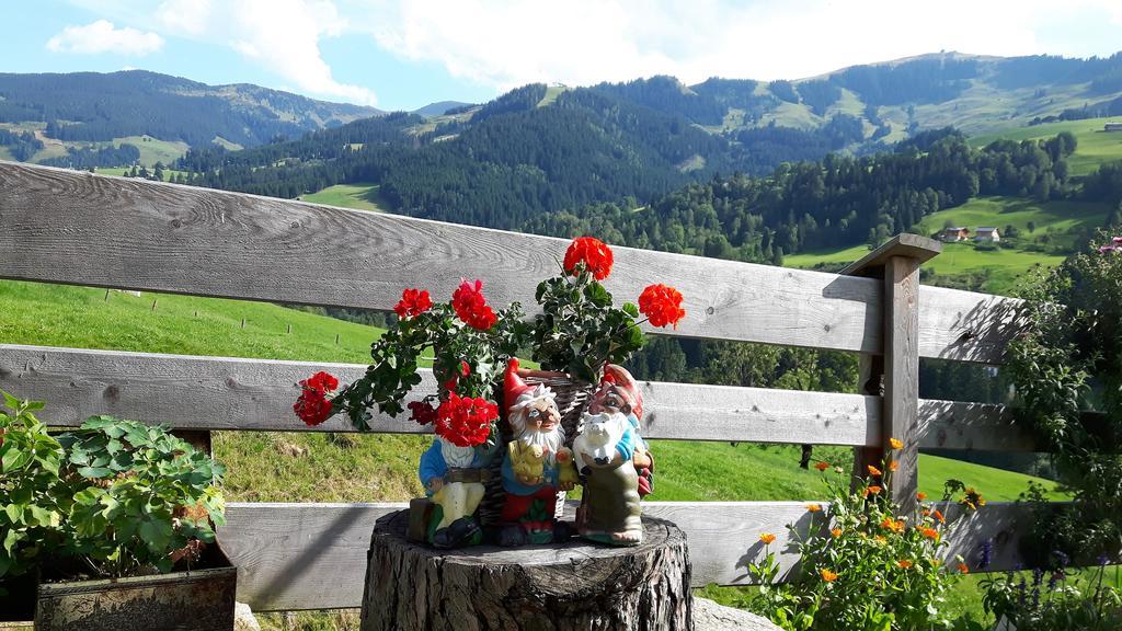 Bio-Bauernhof Hatzbauer Maria Alm am Steinernen Meer Exterior photo