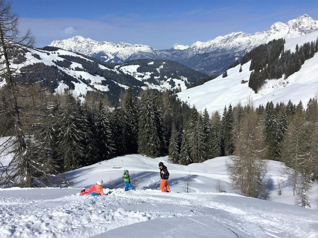 Bio-Bauernhof Hatzbauer Maria Alm am Steinernen Meer Exterior photo